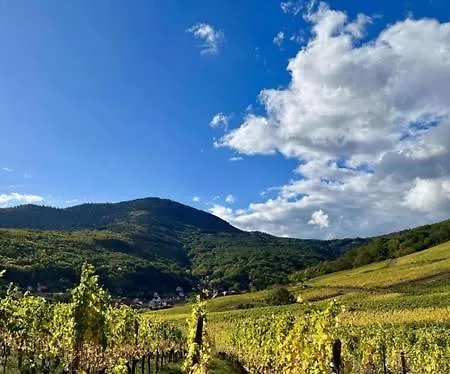Bed & Breakfast Du Vignoble - A L'ancien De Reichsfeld