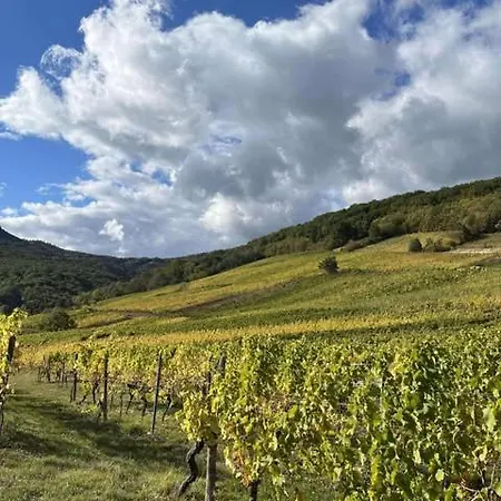 Du Vignoble - A L'ancien De Bed & Breakfast *