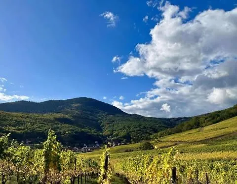 住宿加早餐酒店 Du Vignoble - A L'ancien De Reichsfeld